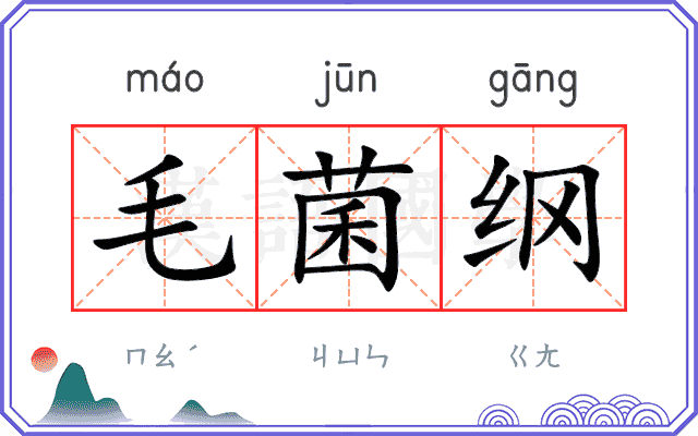 毛菌纲