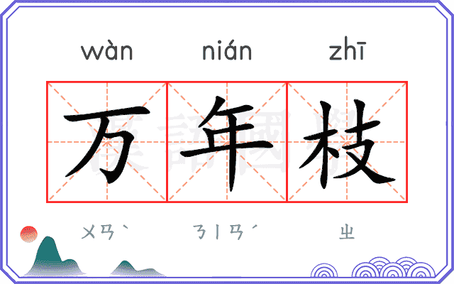 万年枝