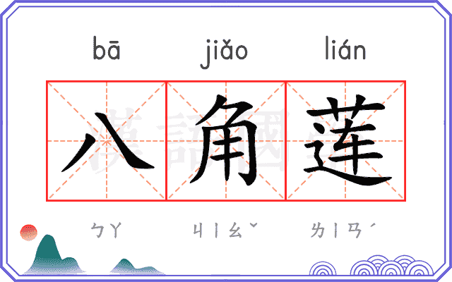 八角莲