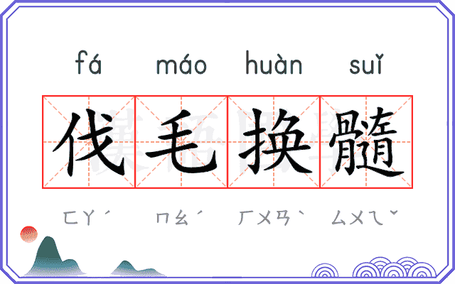 伐毛换髓