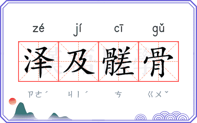 泽及髊骨