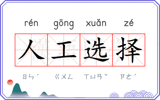 人工选择