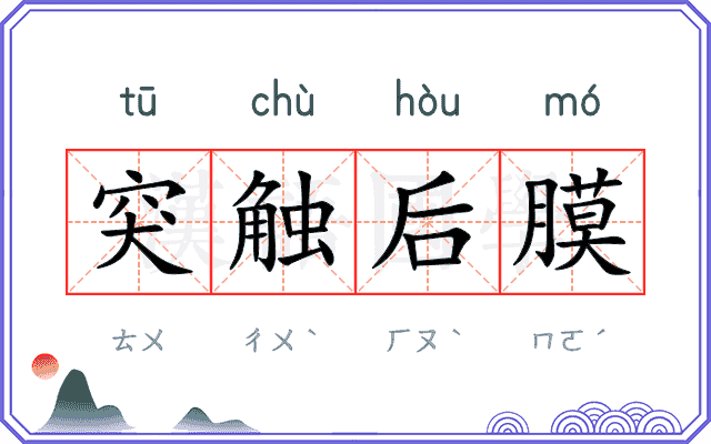 突触后膜