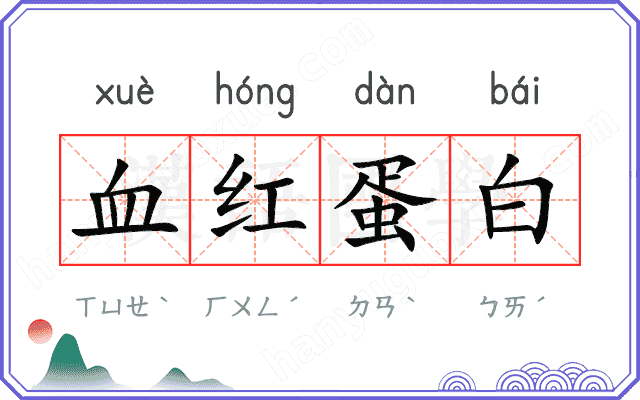血红蛋白