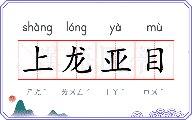 上龙亚目