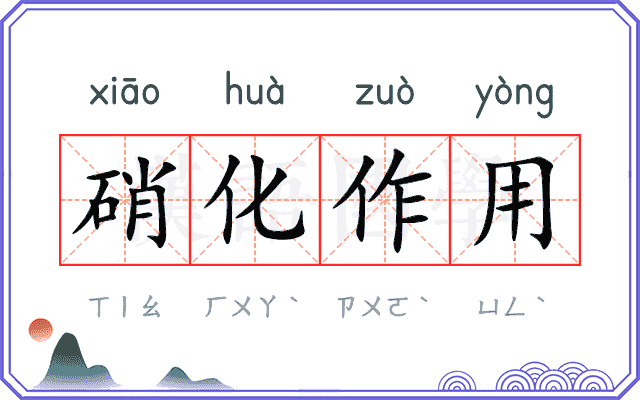 硝化作用