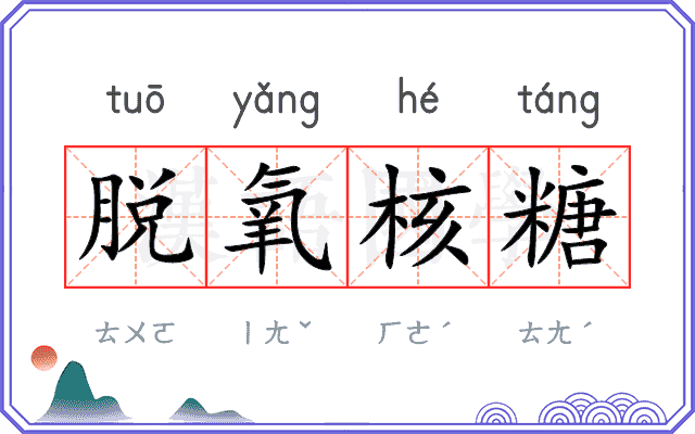 脱氧核糖