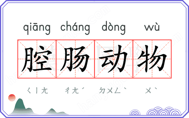 腔肠动物