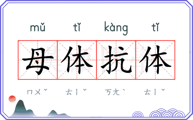 母体抗体