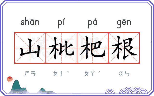 山枇杷根