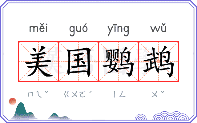 美国鹦鹉