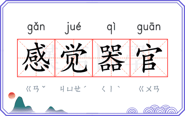 感觉器官