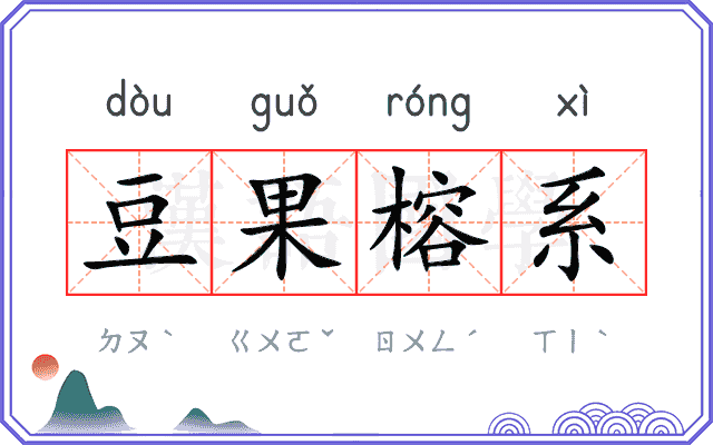 豆果榕系