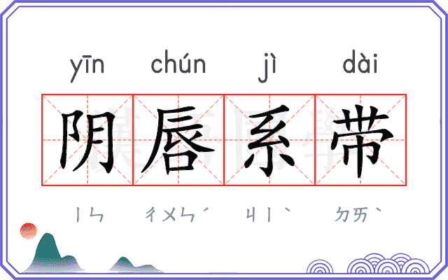 阴唇系带