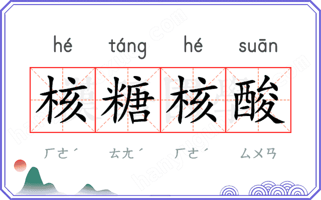 核糖核酸