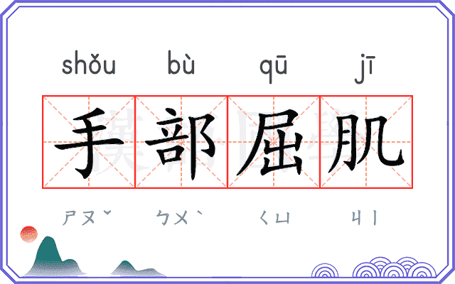 手部屈肌