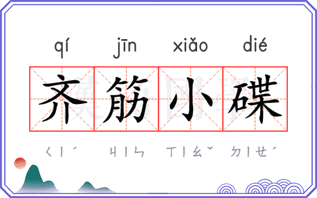 齐筋小碟