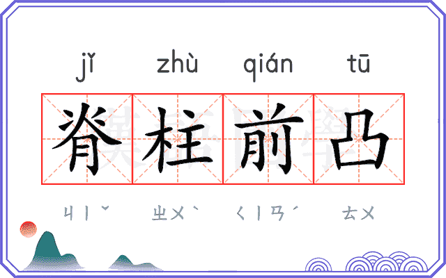 脊柱前凸