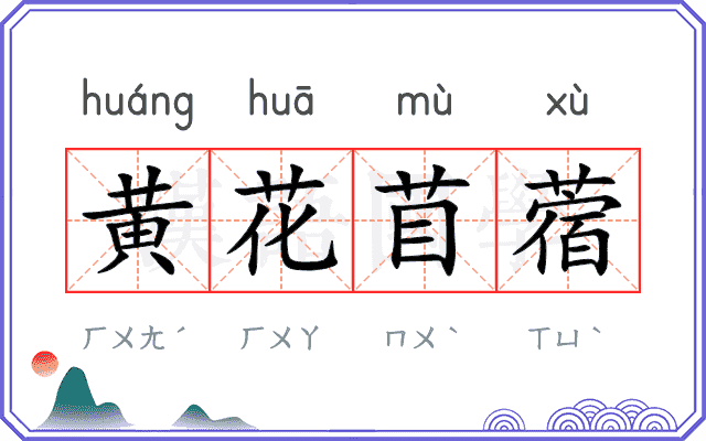 黄花苜蓿