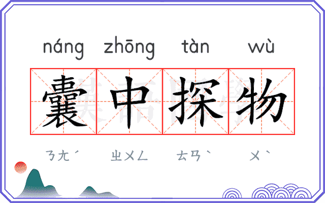 囊中探物