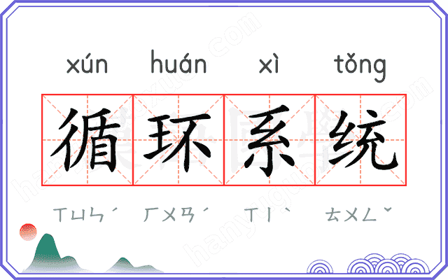 循环系统