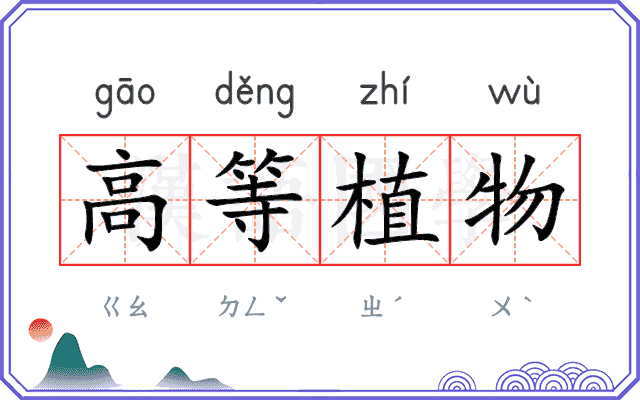 高等植物