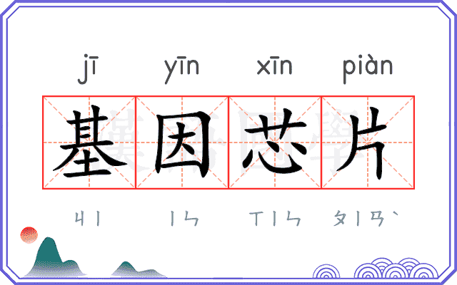 基因芯片