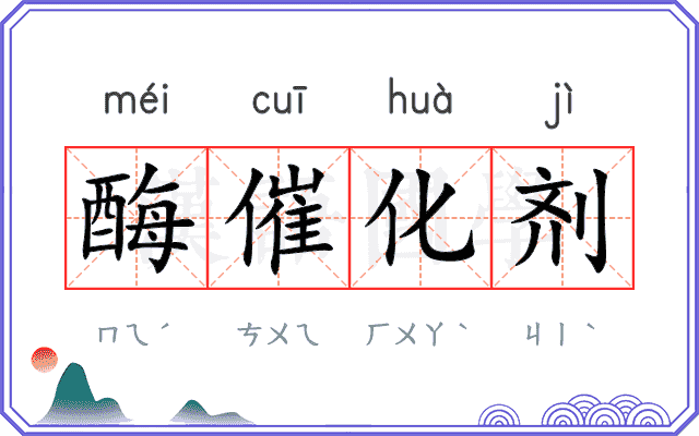 酶催化剂
