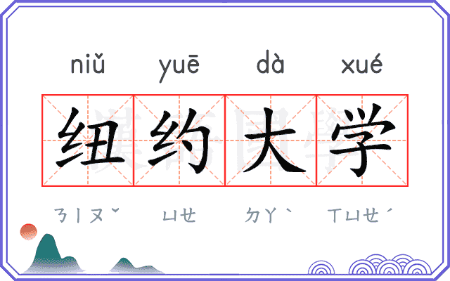 纽约大学