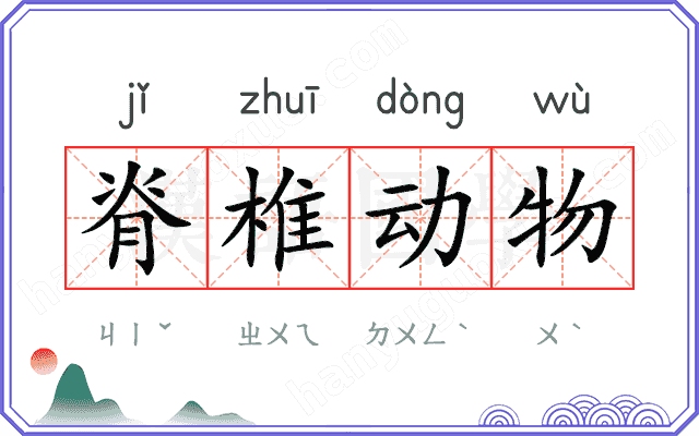 脊椎动物