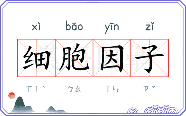细胞因子