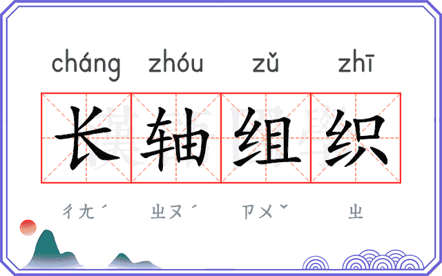 长轴组织