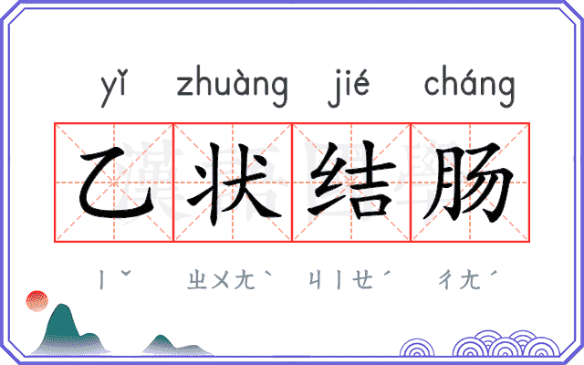 乙状结肠