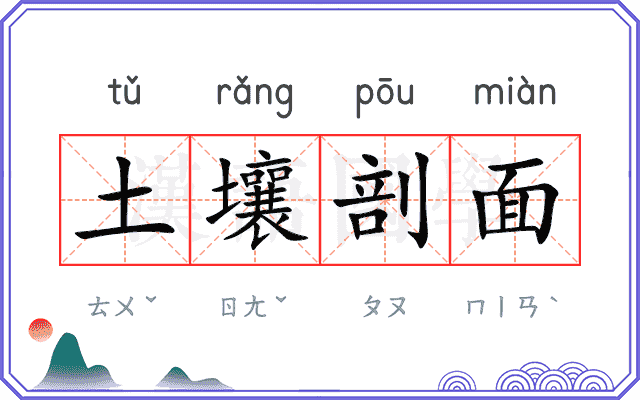 土壤剖面