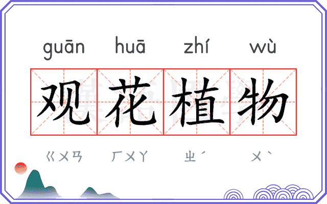 观花植物