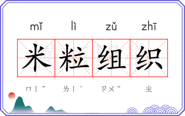 米粒组织
