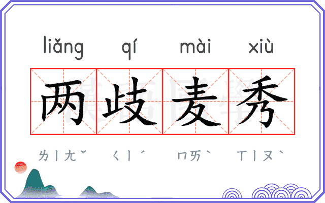 两歧麦秀