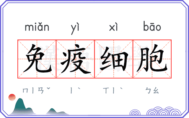 免疫细胞