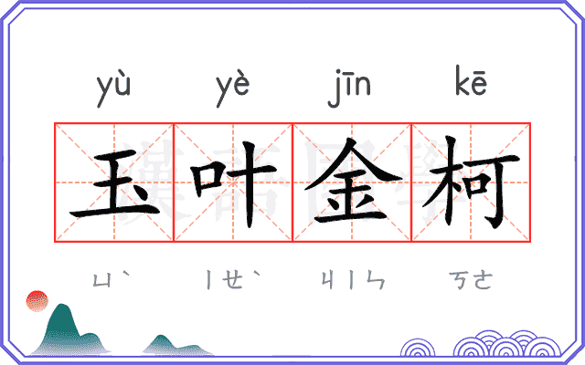 玉叶金柯