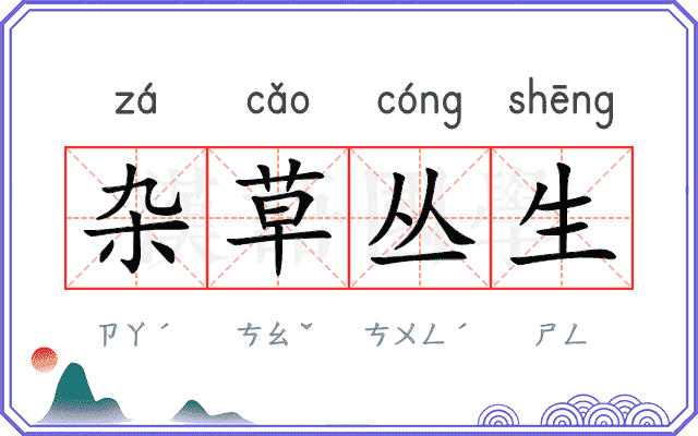 杂草丛生