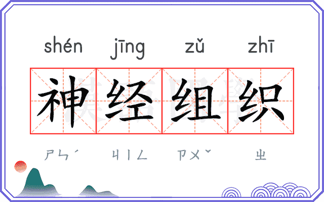 神经组织