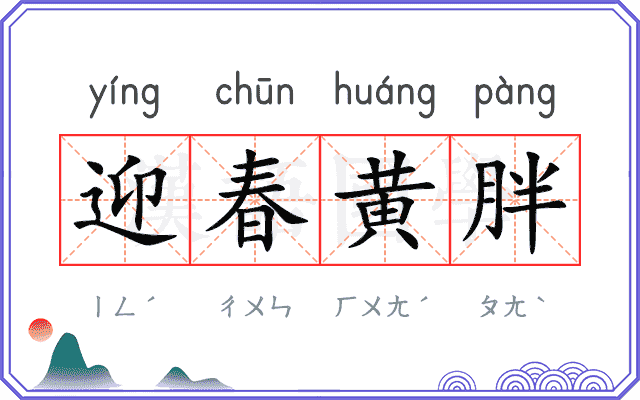 迎春黄胖