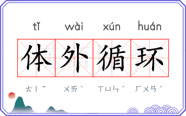 体外循环