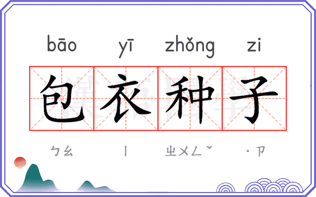 包衣种子