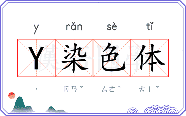 Y染色体