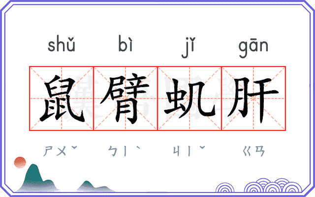 鼠臂虮肝