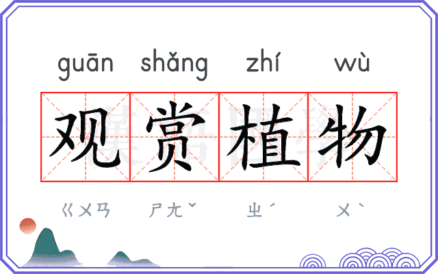 观赏植物