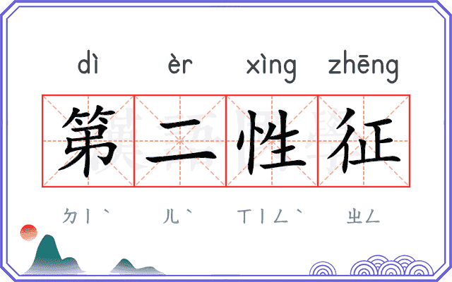 第二性征