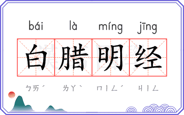 白腊明经