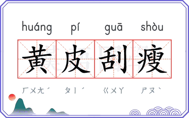 黄皮刮瘦